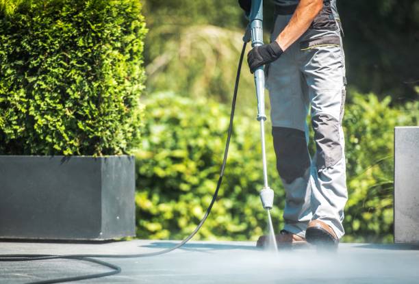 Best Solar Panel Cleaning  in Winter Haven, FL