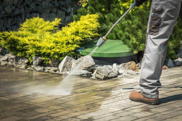 Best Dumpster Area Cleaning  in Winter Haven, FL