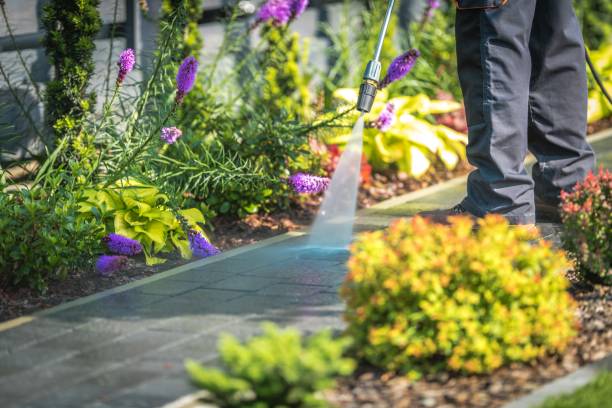 Best Patio and Deck Pressure Washing  in Winter Haven, FL