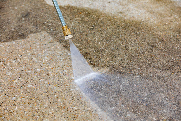Best Animal Enclosure Cleaning  in Winter Haven, FL