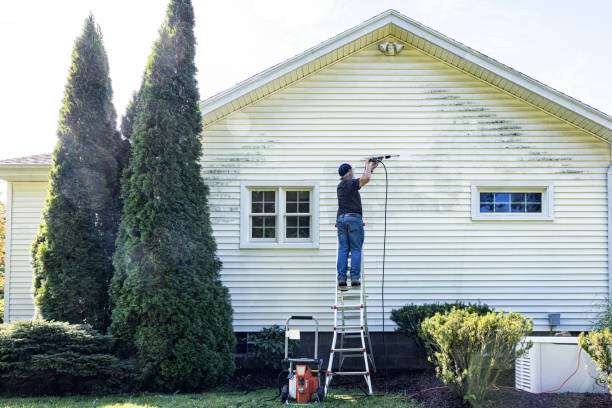 Best Driveway Pressure Washing  in Winter Haven, FL